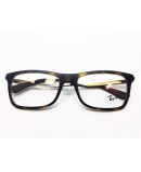 RayBan